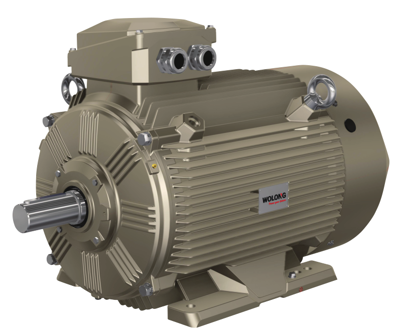 1650352453294060p5A0.png WEPM 變頻調速永磁電機.png